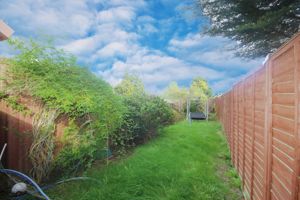 Photo 11- click for photo gallery